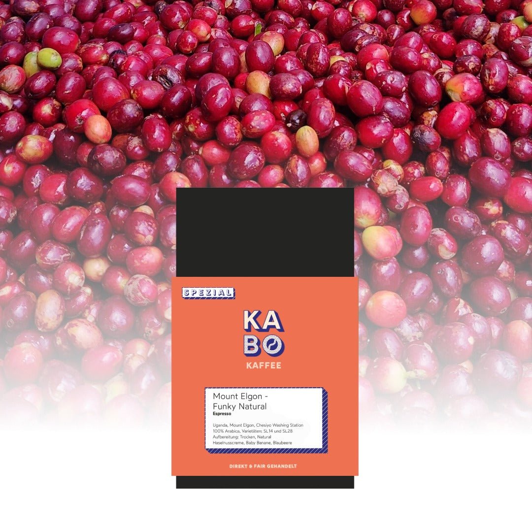 Espresso „Mount Elgon“