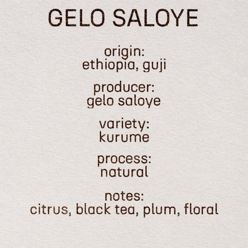 gelo saloye