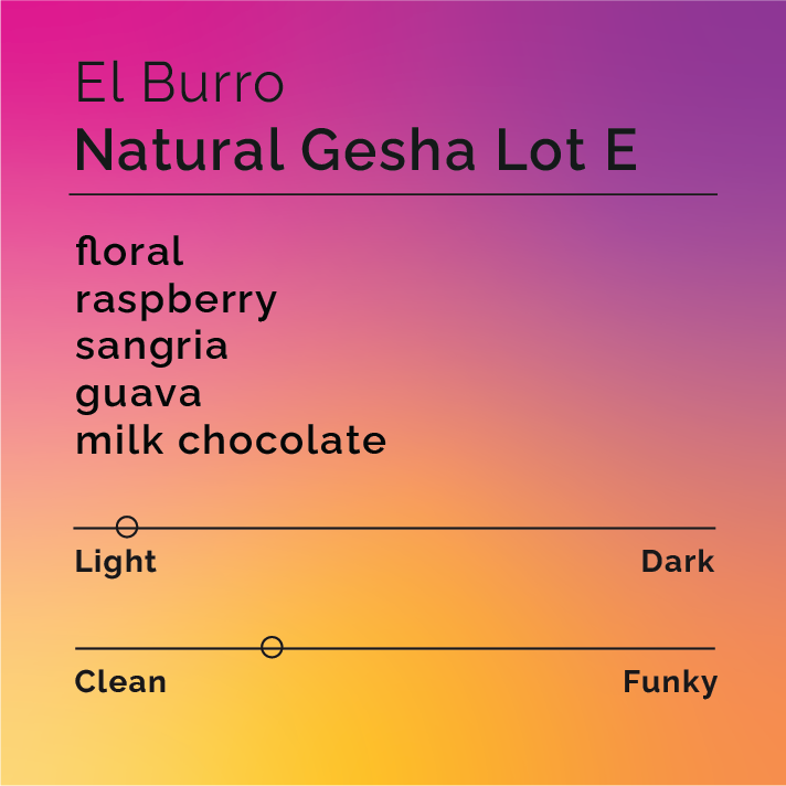 El Burro - Natural Gesha Lot E