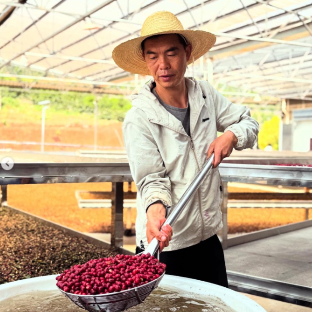 China The Nest x HACHI COFFEE Huajing