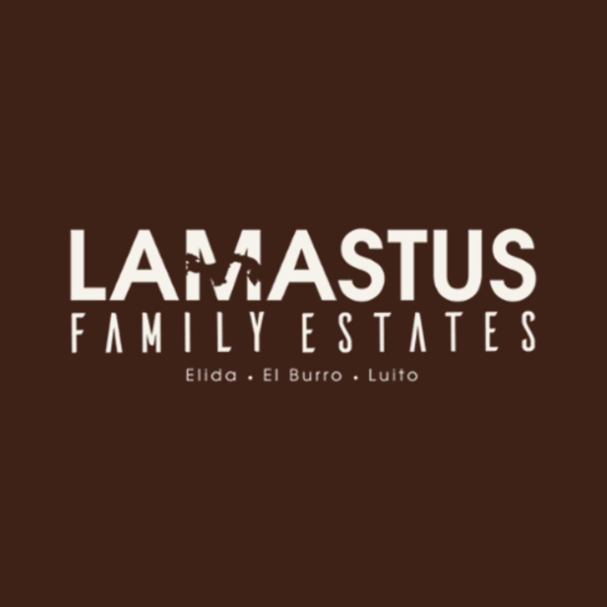 Lamastus Family Estates Elida Estate Natural ASD Catuai 100g