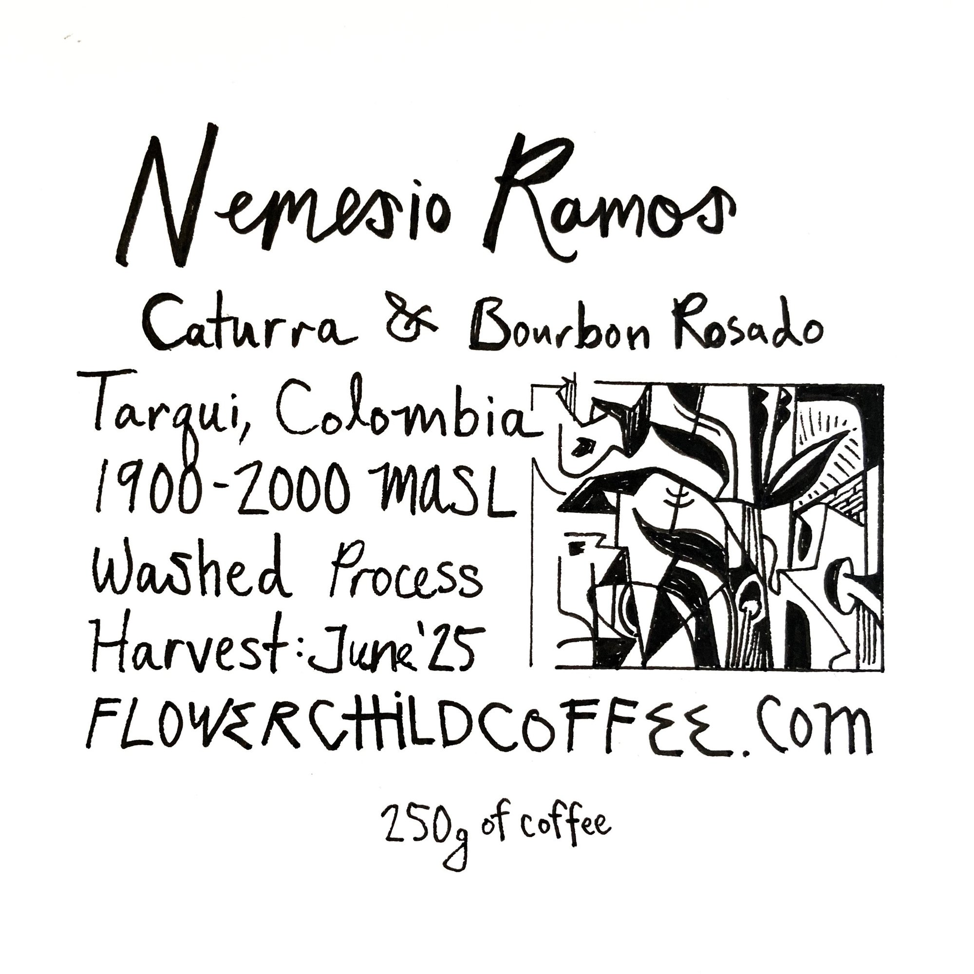 Nemesio Ramos Trujillo