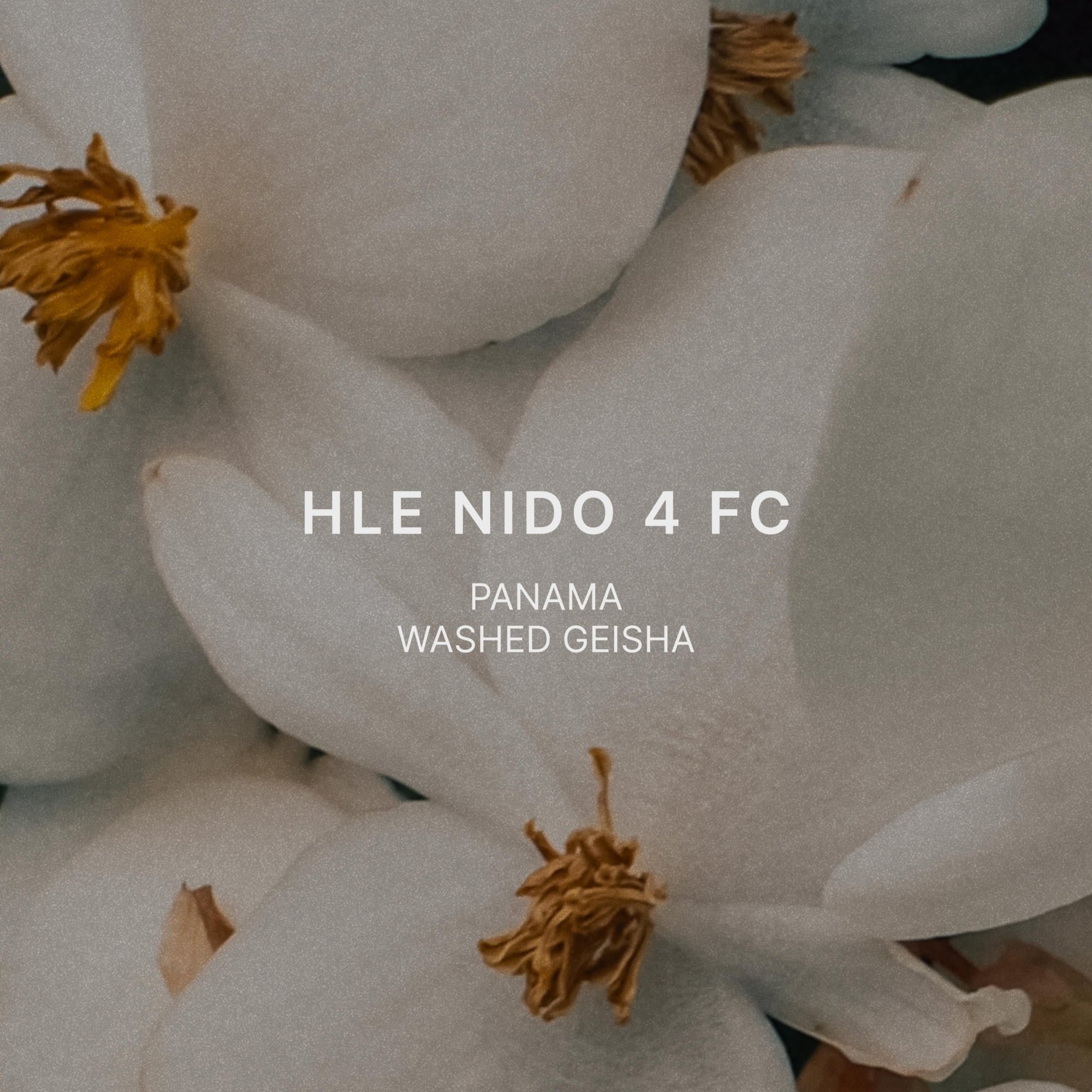 HLE NIDO 4 FC