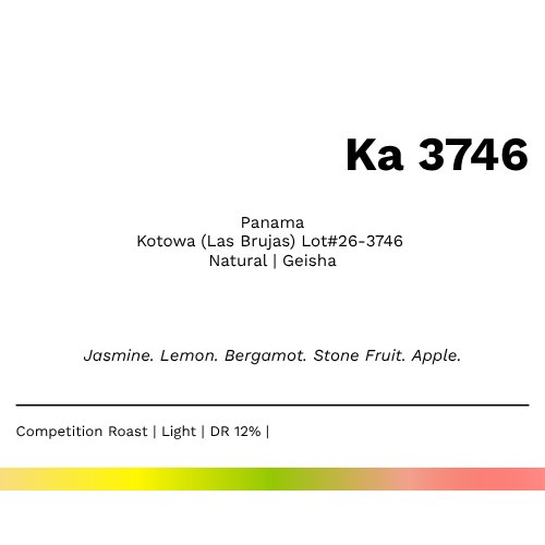 New! Ka 3746 - Kotowa (Las Brujas) Lot#26-3746 Natural Geisha