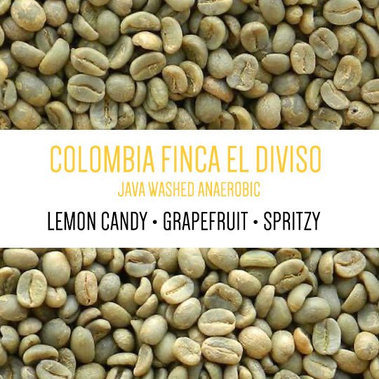 Colombia Finca El Diviso Java Washed Anaerobic Finca El Diviso, led by Nestor Lasso (GREEN)