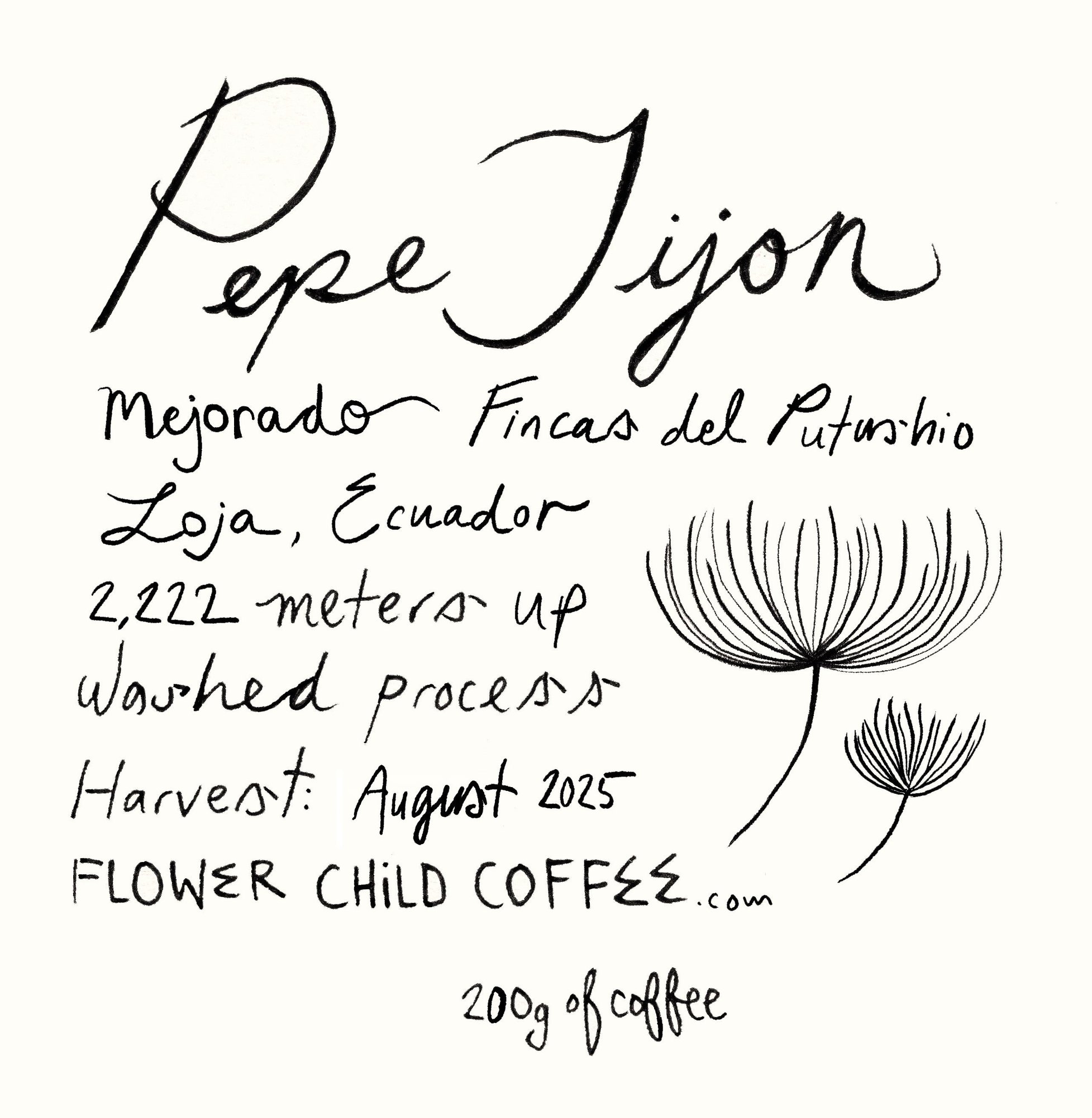 Pepe Jijon Mejorado