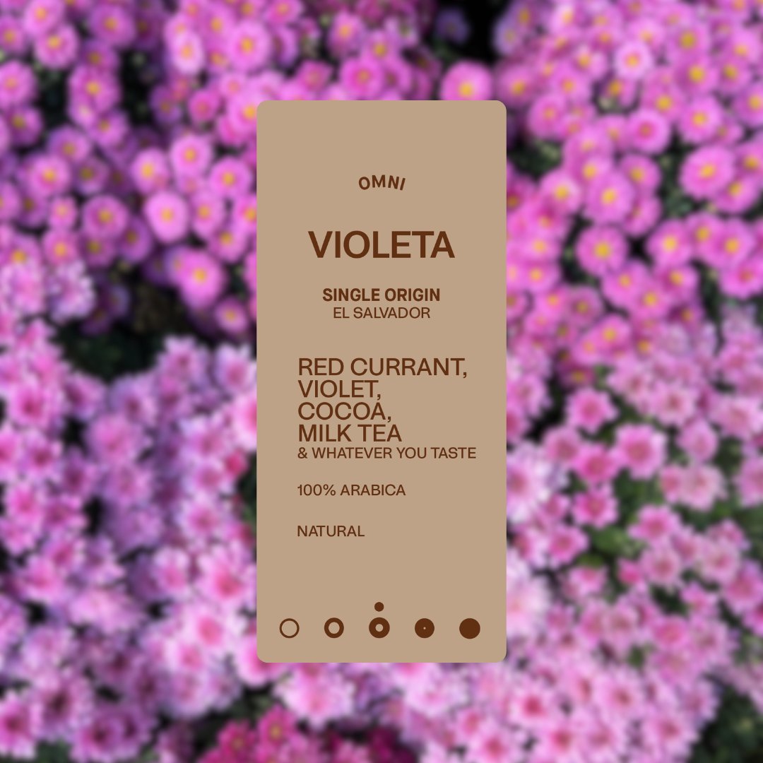 Violeta - Omni - B2B