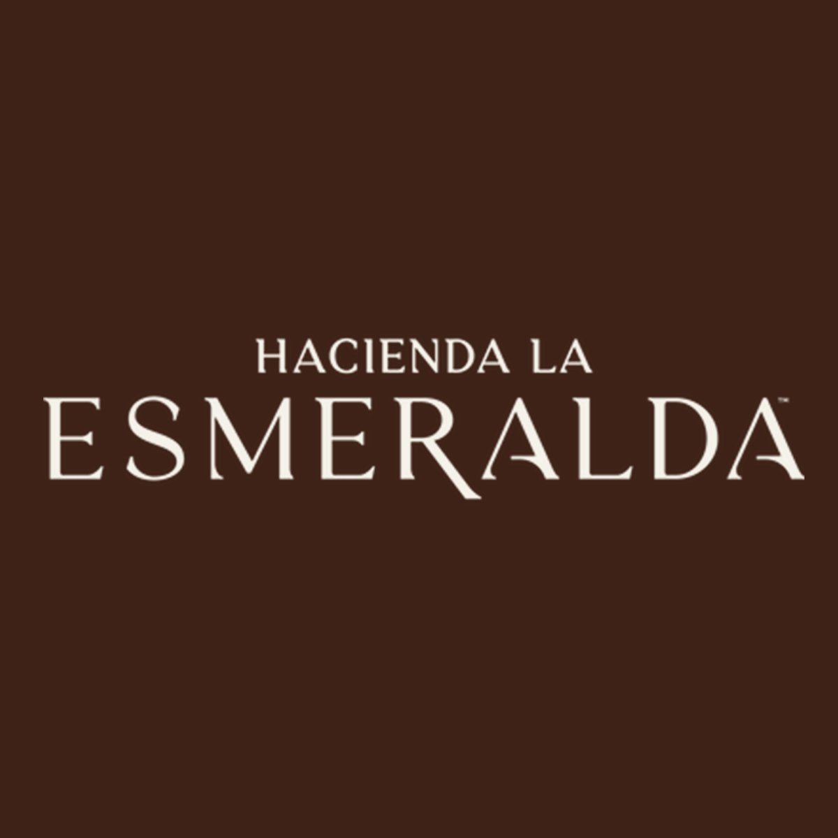 Hacienda La Esmeralda Noria Anaerobic Natural Geisha 4ANC 100g