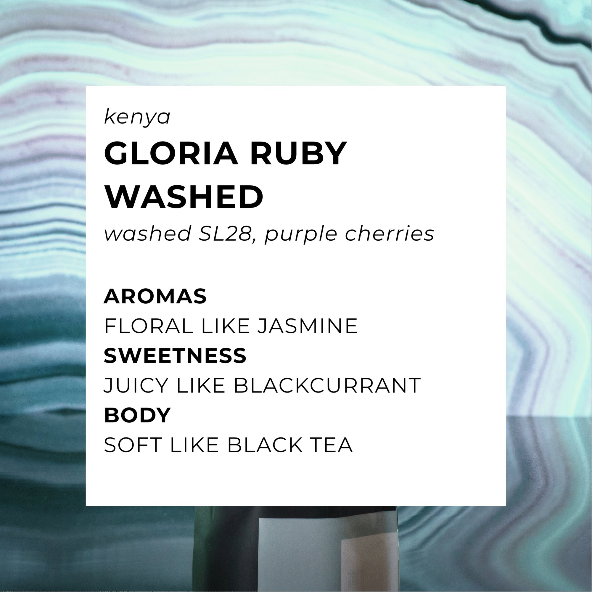 Gloria Ruby Washed