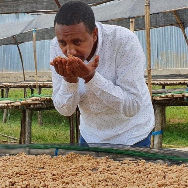 ’Ethiopia Cup of Excellence #25【COE】
