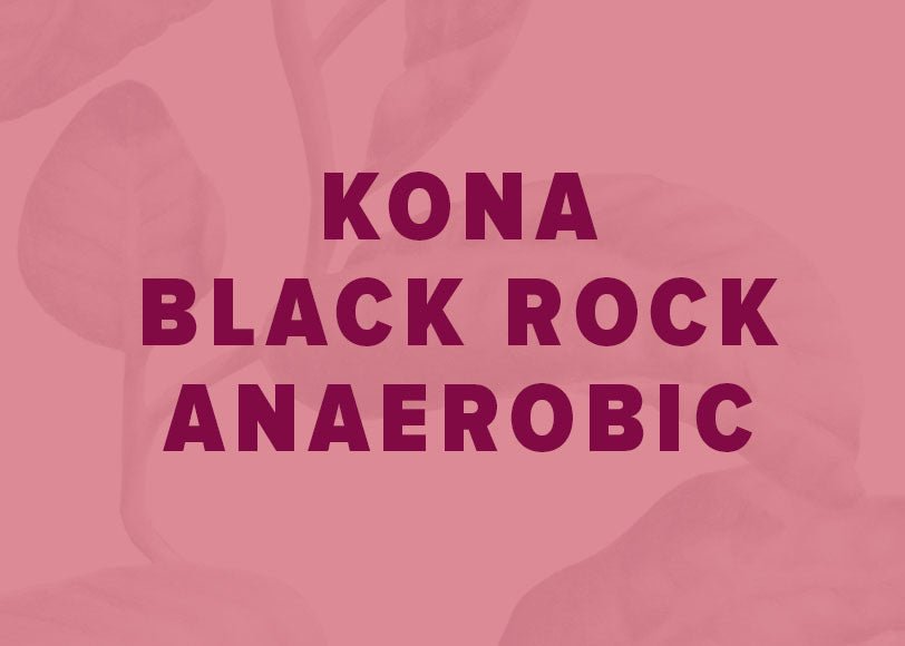 Kona Anaerobic Washed - Black Rock Farm
