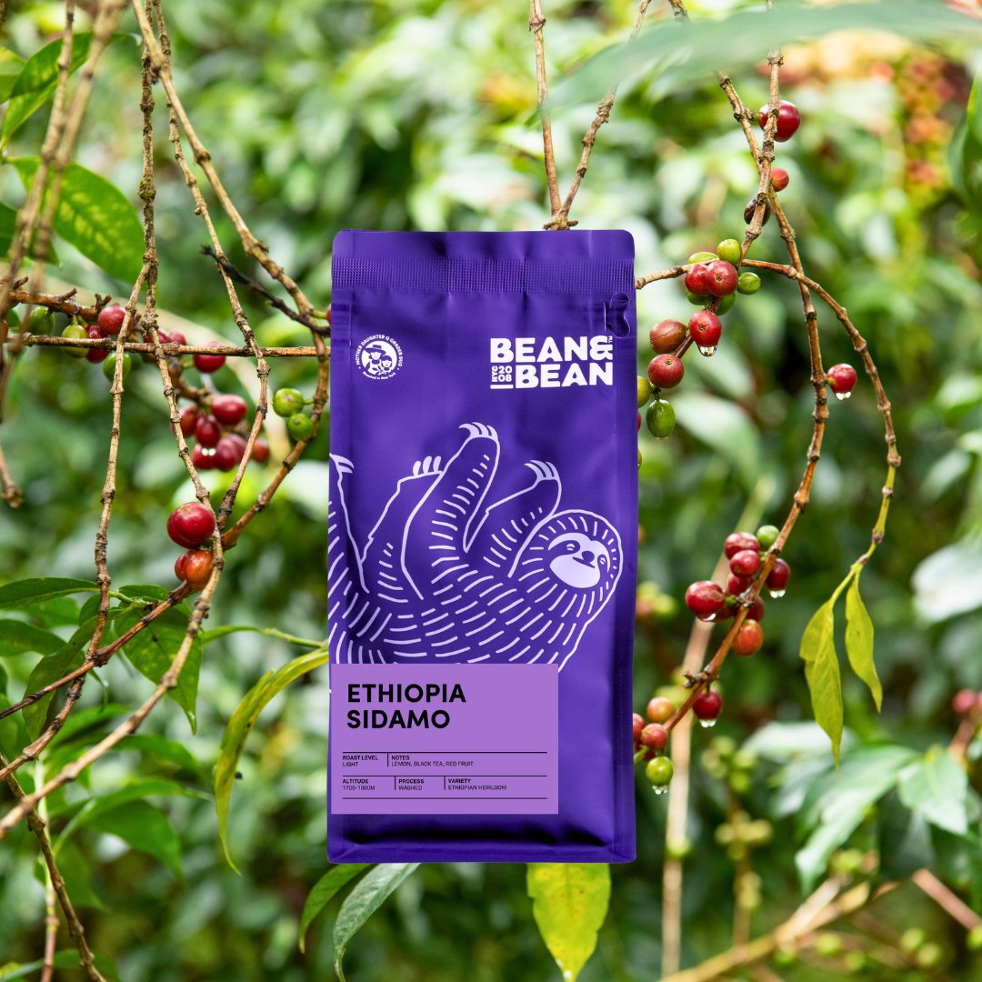 Ethiopia Sidamo