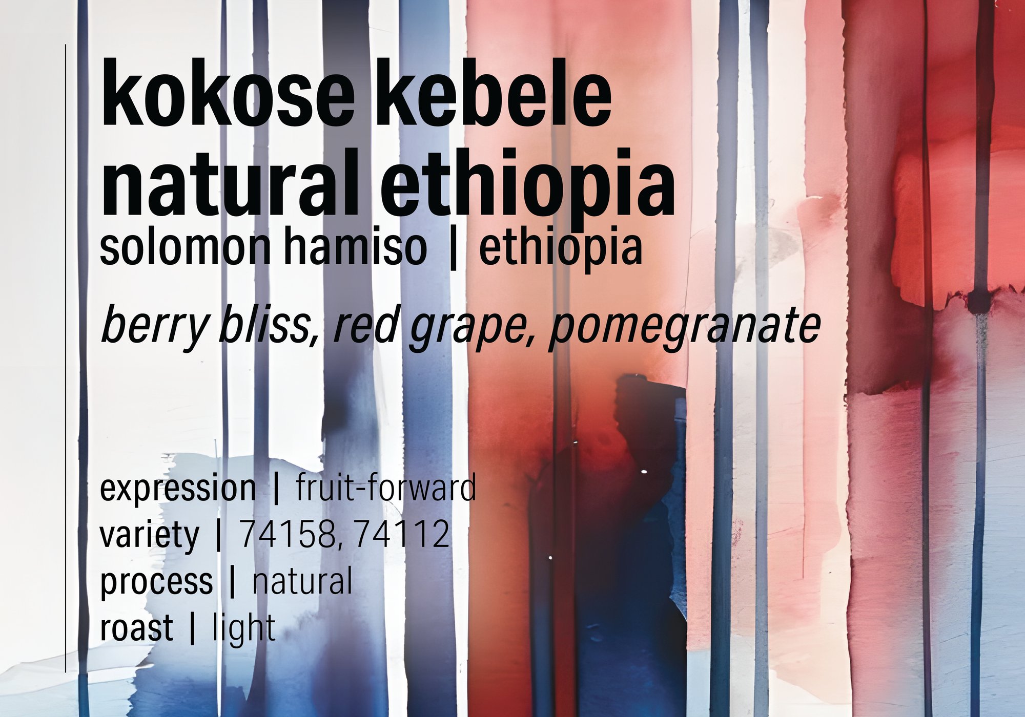 Kokose Kebele - Natural Ethiopia - Ethiopia