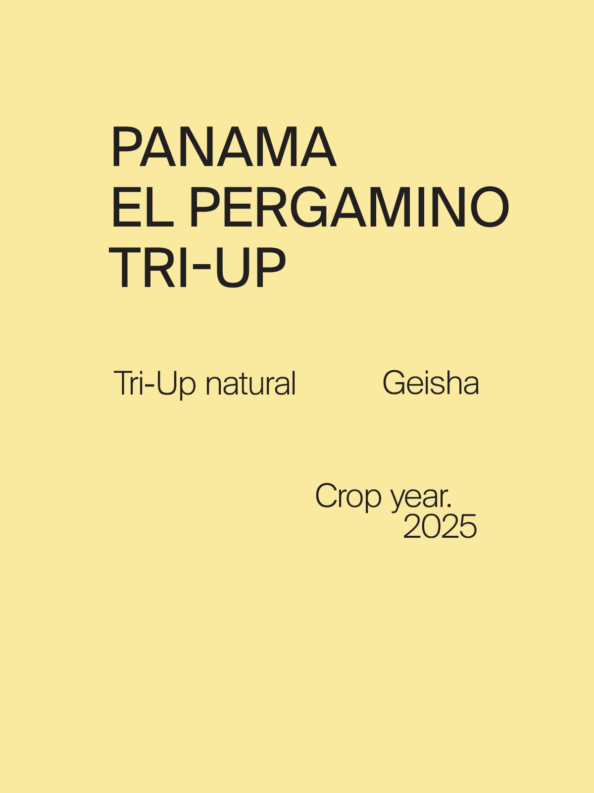 Panama El Pergamino Tri-Up #21 Geisha Tri-Up Natural