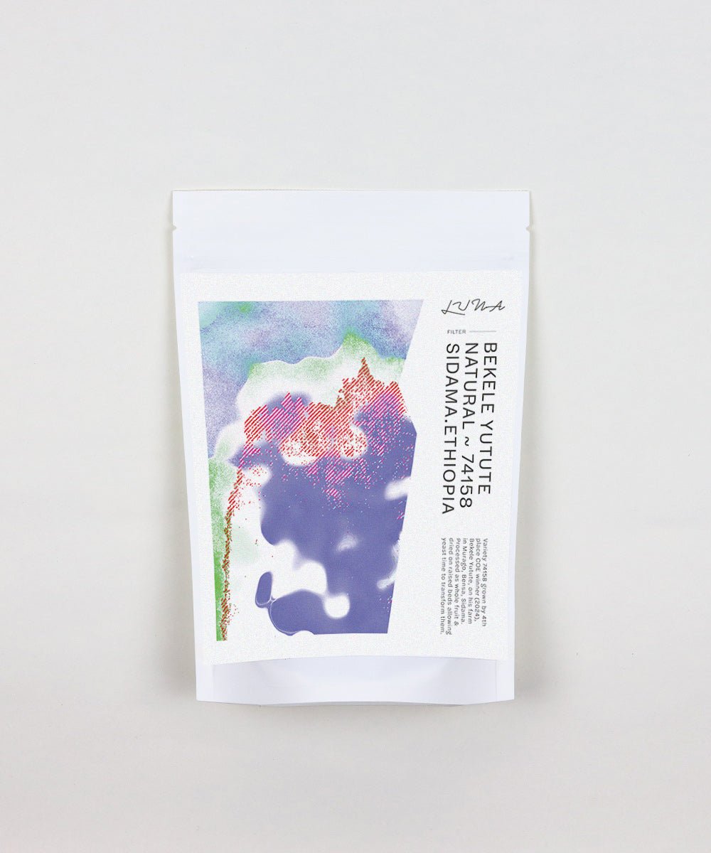 Bekele Yutute ~ Natural | Sidama, Ethiopia (2024)