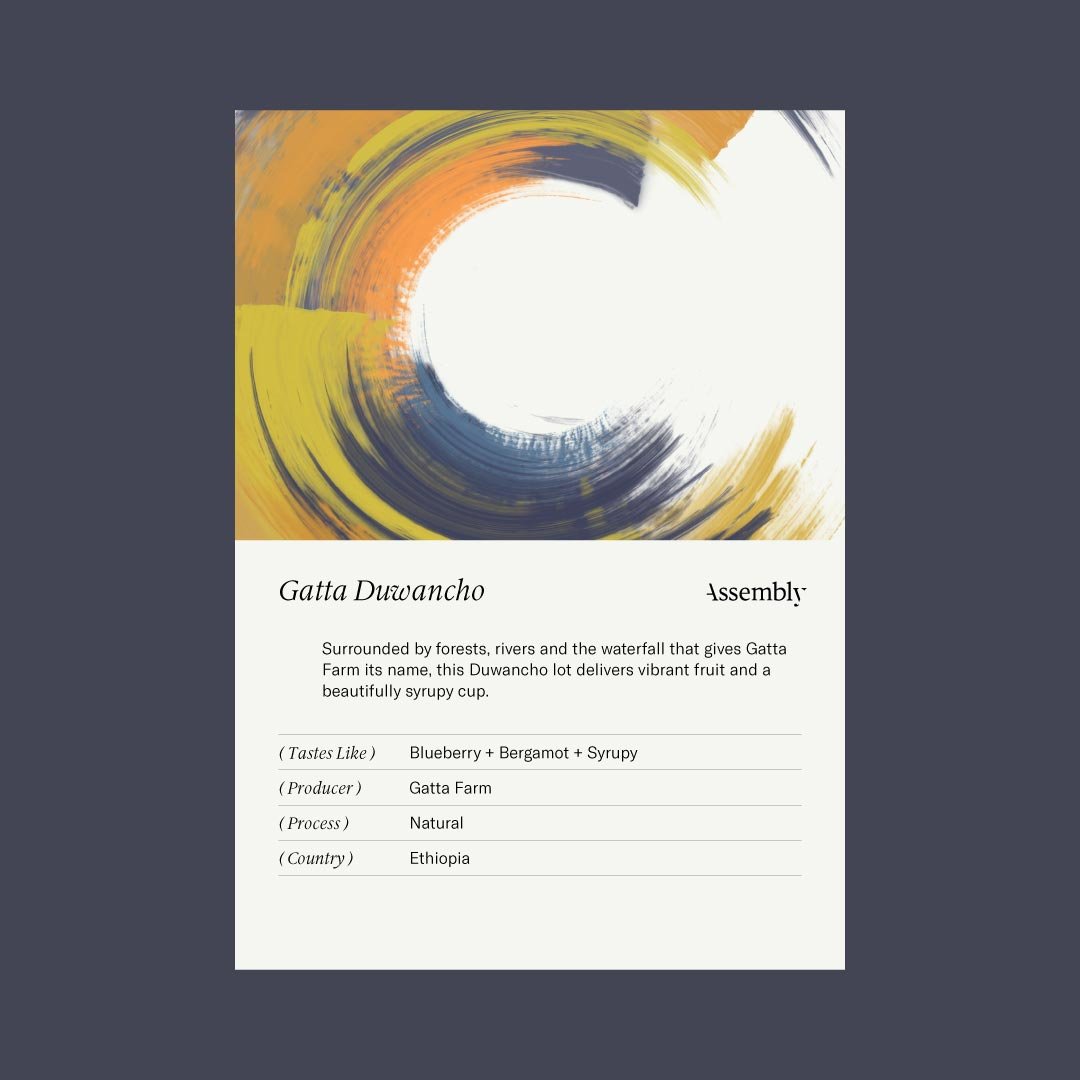 Ethiopia — Gatta Duwancho Taste Card