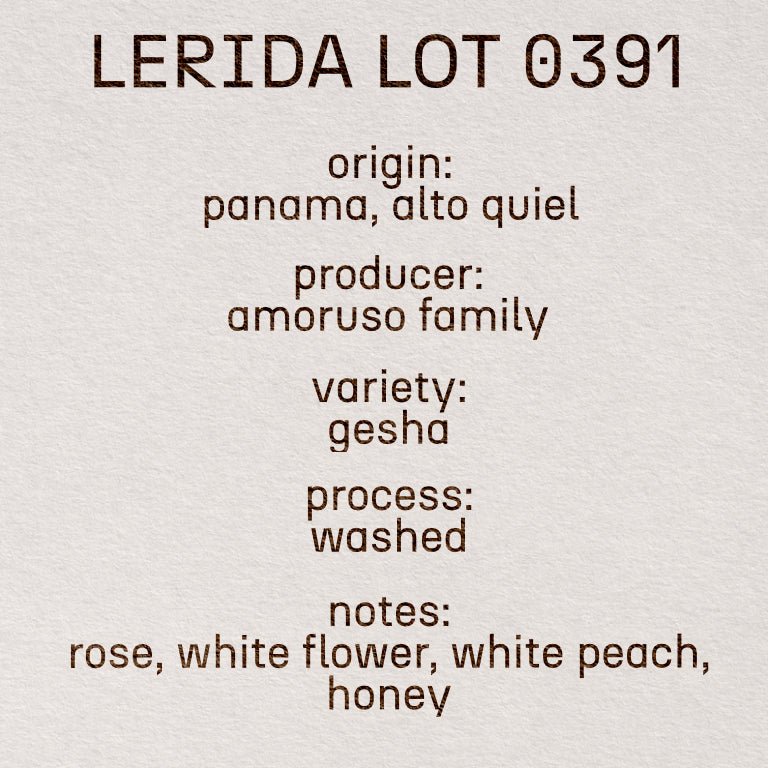 Lerida Lot 0391