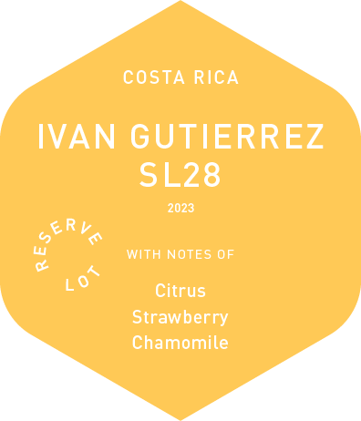 Ivan Gutierrez SL28