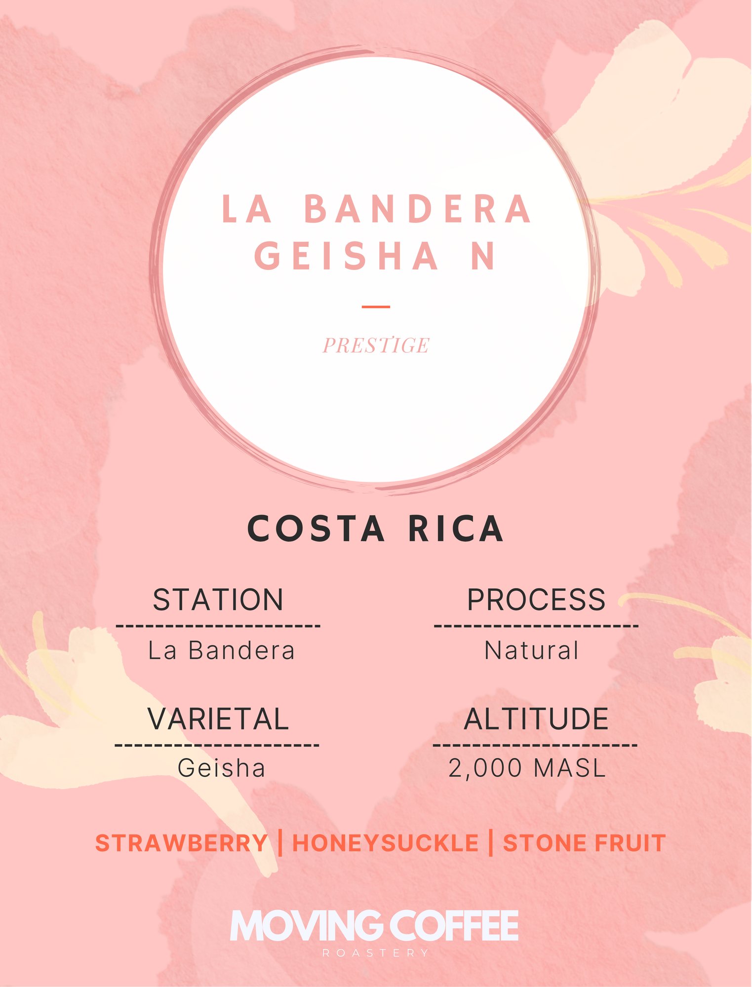 WS - La Bandera Geisha N