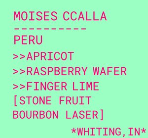 Moises Ccalla