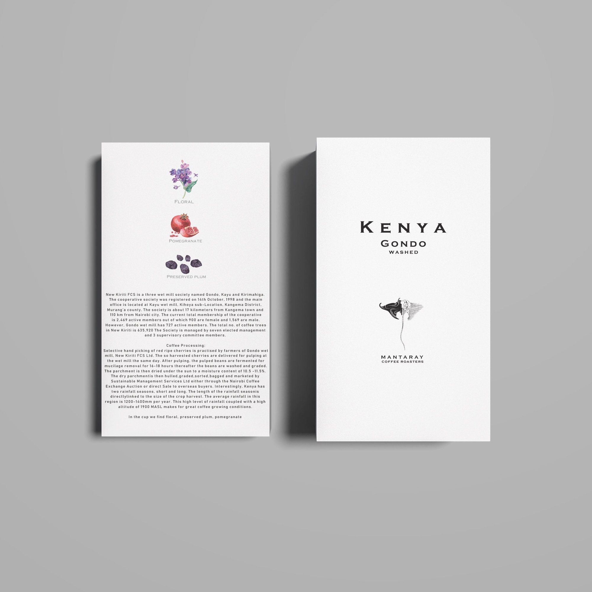 Kenya Gondo Washed (Single Origin Espresso)