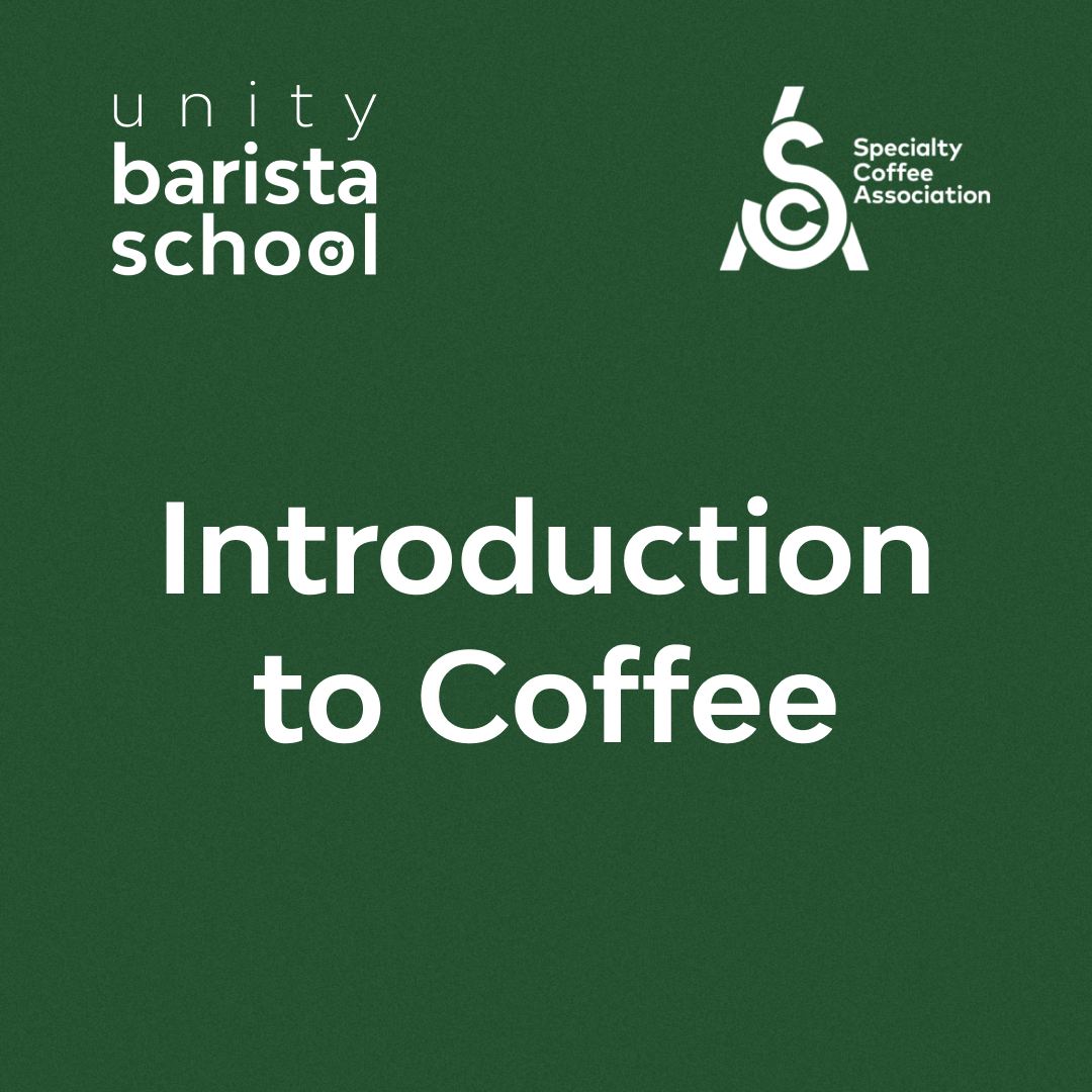 SCA — Introduction to Coffee