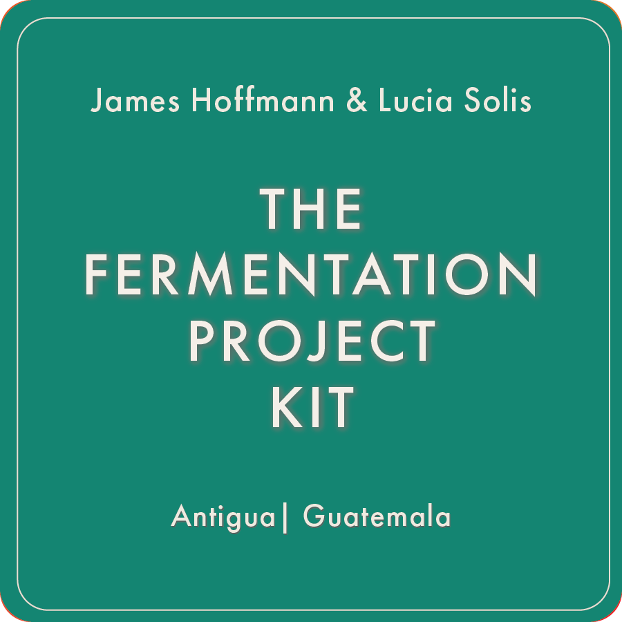 [pre-sale] James Hoffmann Fermentation Project x Regalia