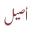 Aseel Roastery logo