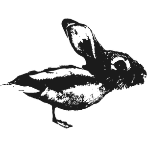 Duck-Rabbit Coffee logo