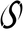 Salvatge Coffee logo