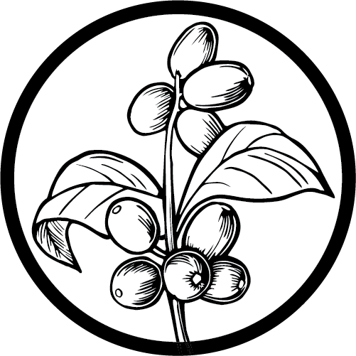 Tamarindo Coffee Roasters logo